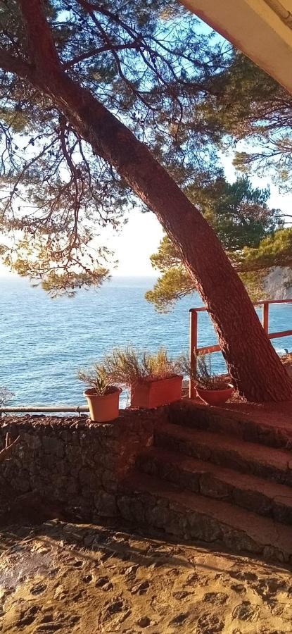 파라무라 Cinqueterre National Park Sea View 아파트 외부 사진